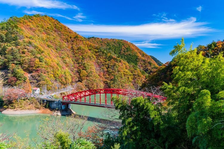 Lake Okutama