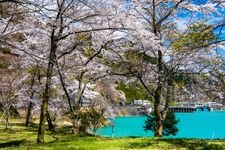 Tourist destination images of Lake Okutama(3)