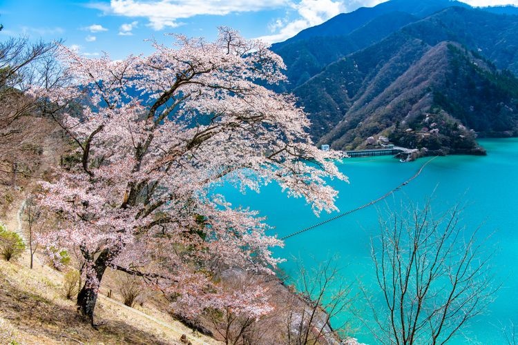 Tourist destination images of Lake Okutama(2)