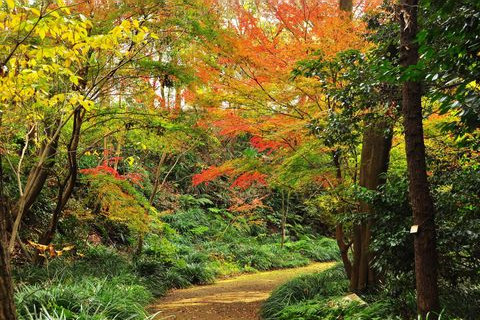 金澤自然公園（金澤動物園）