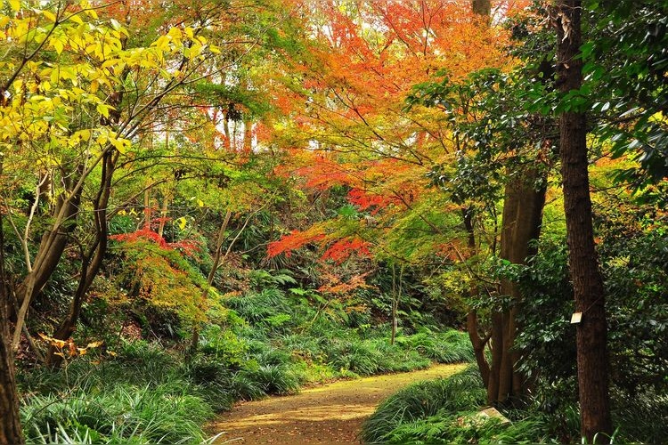 Kanazawa Nature Park (Kanazawa Zoo)