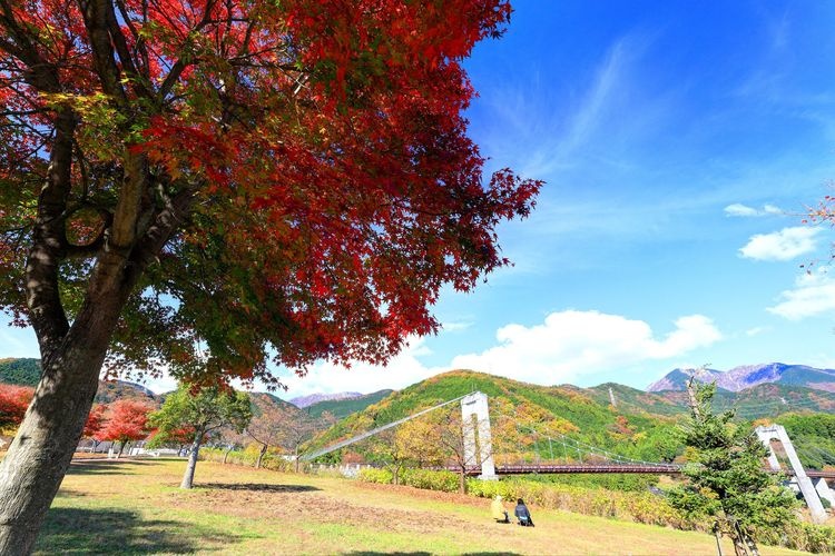 神奈川県立秦野戸川公園