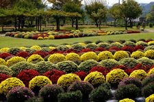 神奈川県立秦野戸川公園の観光地画像(2)