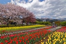 神奈川県立秦野戸川公園の観光地画像(3)