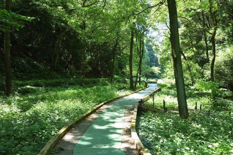 県立東高根森林公園