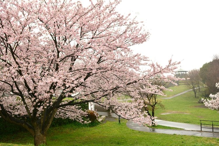 Shiki no Mori Park (Prefectural Park)