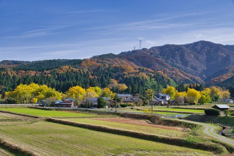 Golden Village (Koganeno Sato)