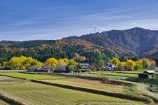 Tourist destination images of Golden Village (Koganeno Sato)(1)