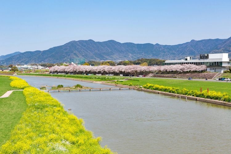 遠賀川河川敷の観光地画像(2)