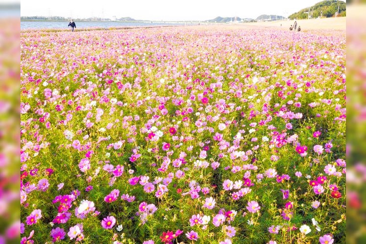 Nogata Riverside Park