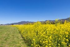 Tourist destination images of Nogata Riverside Park(2)