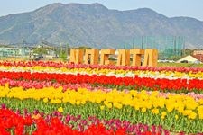 遠賀川河川敷の観光地画像(1)