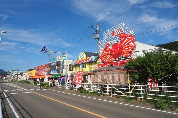 Teradomari Uonoychi-dori (Fish Market Street)