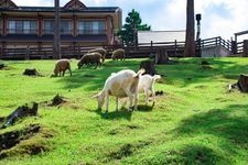 Tourist destination images of Hyogo Prefectural Tajima Ranch Park(1)