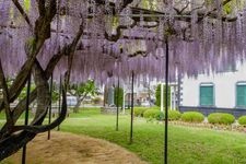 Tourist destination images of Former Nakagomi School(2)