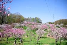 Tourist destination images of Hirakoka Park(2)