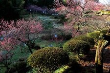 Tourist destination images of Yutagawa Onsen Umebayashi Park(2)