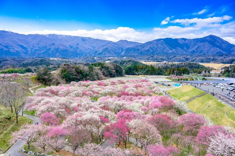 Tourist destination images of Inabe City Agricultural Park(2)