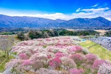 Tourist destination images of Inabe City Agricultural Park(2)
