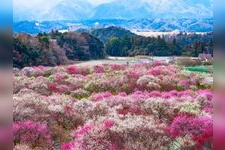 Tourist destination images of Inabe City Agricultural Park(2)