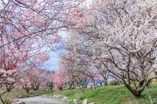 Tourist destination images of Inabe City Agricultural Park(3)