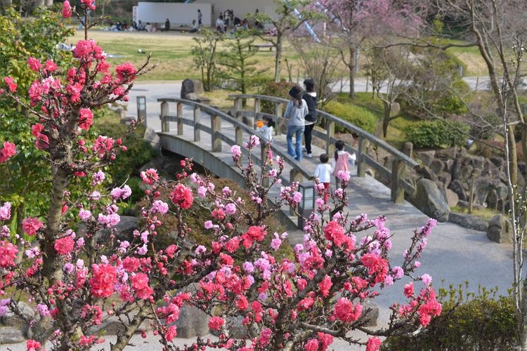 Tourist destination images of Kanayama General Park(2)