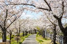 Tourist destination images of Hojo-ooike Pond(2)