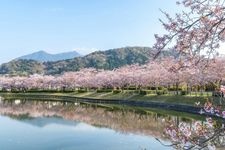 Tourist destination images of Hojo-ooike Pond(3)