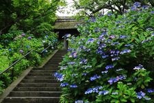 Tourist destination images of Tokeiji Temple(3)