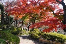 Tourist destination images of Keio Hyakusai-en Garden(2)