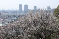 Tourist destination images of Okamoto Park (Okamoto Plum Grove)(2)