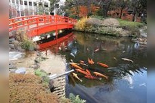 Tourist destination images of Hotel New Otani Japanese Garden(3)