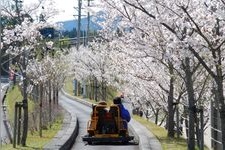 丸冈公园的旅游景点图片(1)