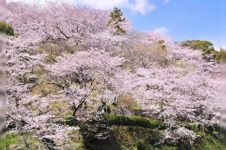 Shimizu Funakoshi-Tei Park