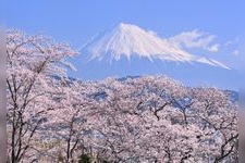 Tourist destination images of Shimizu Funakoshi-Tei Park(2)