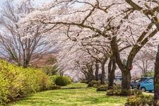 Tourist destination images of Fuji Reien (冨士霊園)(1)