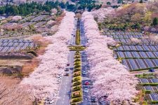 Tourist destination images of Fuji Reien (冨士霊園)(2)