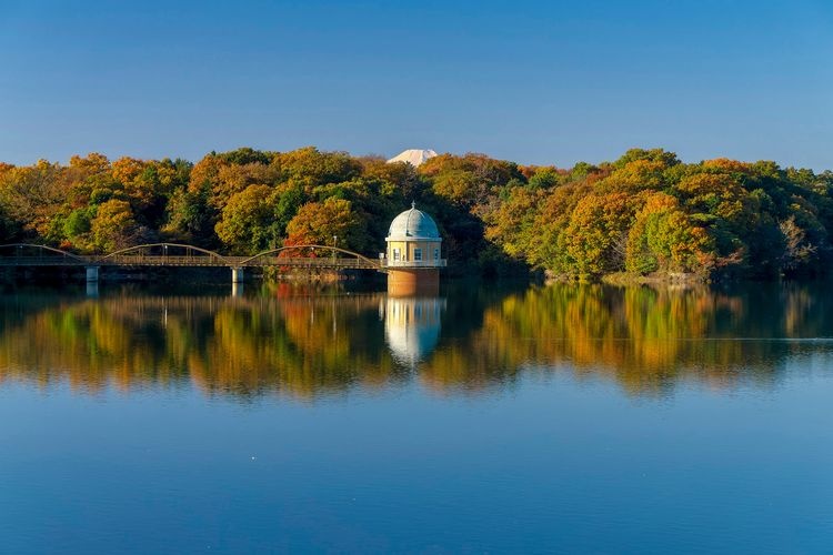 Tamako (Murayama Reservoir)