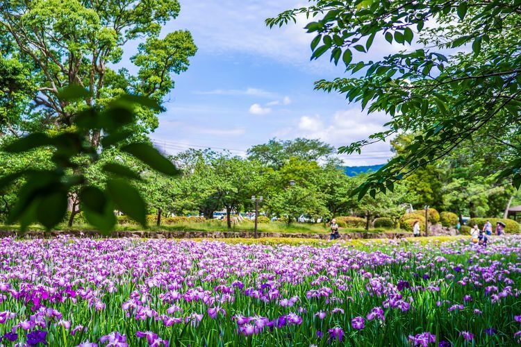 구시마 성(오무라 공원)