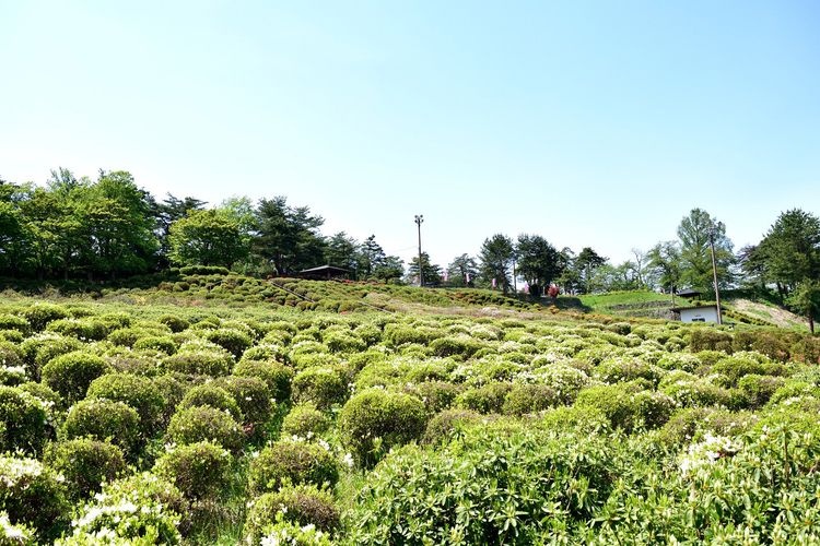 寒河江公園