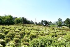 寒河江公園の観光地画像(1)