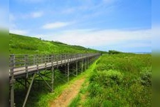 Tourist destination images of Kashima Nada Kaibyō Park(3)