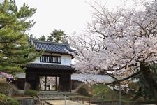 Tourist destination images of Kamejō Park (Tsuchiura Castle Ruins)(2)