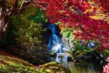 Tourist destination images of Kofuku Shrine(1)