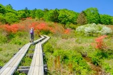 Tourist destination images of Yokone Highland(4)