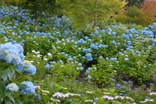 Tourist destination images of Jupia Land Hirata(2)