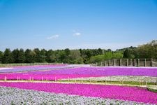 Tourist destination images of Tomita Satoniwa Koen (Chiba City Tomita Urban Agriculture Exchange Center)(1)