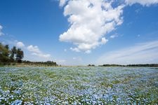 Tourist destination images of Tomita Satoniwa Koen (Chiba City Tomita Urban Agriculture Exchange Center)(2)