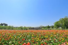 Tourist destination images of Tomita Satoniwa Koen (Chiba City Tomita Urban Agriculture Exchange Center)(3)