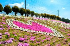 みさと芝桜公園の観光地画像(1)